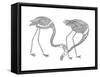 Bird Flamingos 1-Neeti Goswami-Framed Stretched Canvas