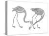 Bird Flamingos 1-Neeti Goswami-Stretched Canvas