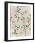 Bird Garden II-Aria K-Framed Art Print