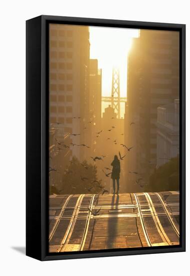 Bird Girl Takes San Francisco, Magical California Street Sunrise Light-Vincent James-Framed Stretched Canvas