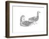 Bird Goosegeese-Neeti Goswami-Framed Art Print