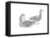 Bird Goosegeese-Neeti Goswami-Framed Stretched Canvas