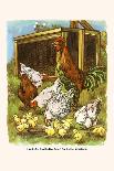 Mary Had a Litte Lamb-Bird & Haumann-Art Print