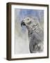 Bird - Head Study-Rusty Frentner-Framed Giclee Print