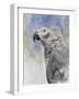 Bird - Head Study-Rusty Frentner-Framed Giclee Print