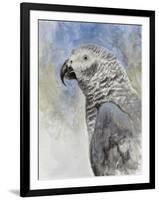 Bird - Head Study-Rusty Frentner-Framed Giclee Print