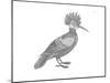 Bird Hoopoe-Neeti Goswami-Mounted Art Print