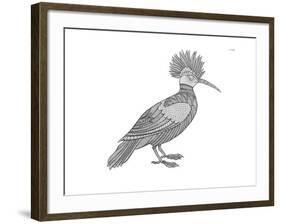 Bird Hoopoe-Neeti Goswami-Framed Art Print