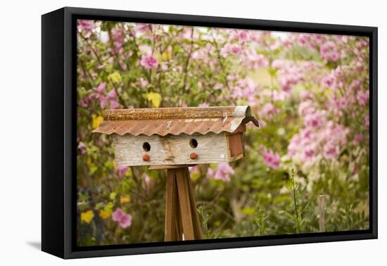 Bird House I-Philip Clayton-thompson-Framed Stretched Canvas