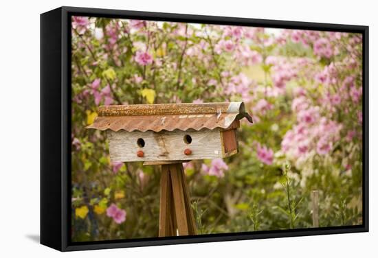 Bird House I-Philip Clayton-thompson-Framed Stretched Canvas