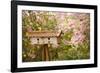 Bird House I-Philip Clayton-thompson-Framed Photographic Print