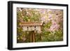 Bird House I-Philip Clayton-thompson-Framed Photographic Print