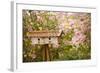 Bird House I-Philip Clayton-thompson-Framed Photographic Print