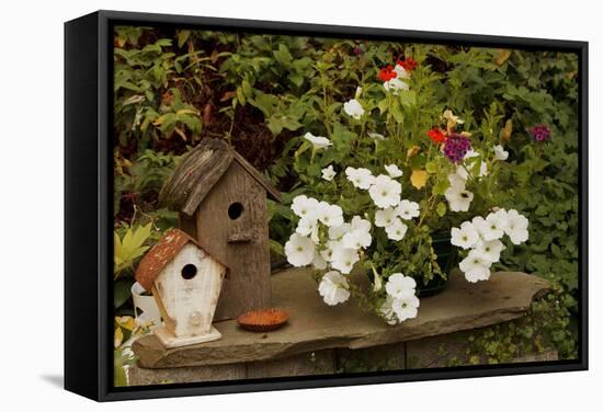 Bird House II-Philip Clayton-thompson-Framed Stretched Canvas