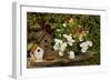 Bird House II-Philip Clayton-thompson-Framed Premium Photographic Print