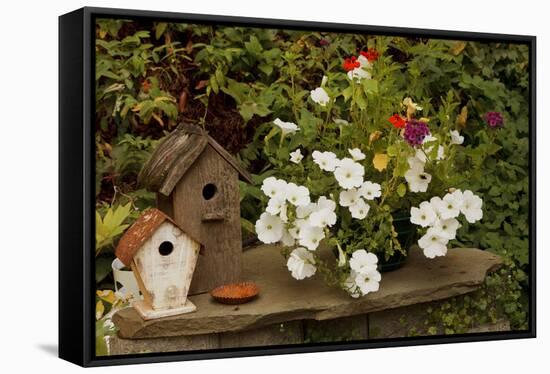 Bird House II-Philip Clayton-thompson-Framed Stretched Canvas