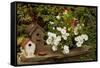 Bird House II-Philip Clayton-thompson-Framed Stretched Canvas