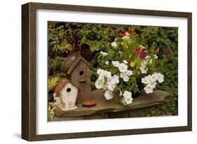 Bird House II-Philip Clayton-thompson-Framed Photographic Print