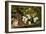 Bird House II-Philip Clayton-thompson-Framed Photographic Print