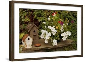 Bird House II-Philip Clayton-thompson-Framed Photographic Print