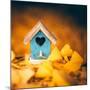 Bird House in Autumn-Philippe Sainte-Laudy-Mounted Photographic Print