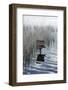 Bird House in the Water-ginton-Framed Photographic Print