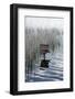 Bird House in the Water-ginton-Framed Photographic Print