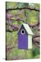 Bird House Nest Box in Eastern Redbud Tree in Spring, Marion, Il-Richard and Susan Day-Stretched Canvas