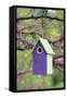 Bird House Nest Box in Eastern Redbud Tree in Spring, Marion, Il-Richard and Susan Day-Framed Stretched Canvas