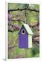 Bird House Nest Box in Eastern Redbud Tree in Spring, Marion, Il-Richard and Susan Day-Framed Photographic Print