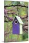 Bird House Nest Box in Eastern Redbud Tree in Spring, Marion, Il-Richard and Susan Day-Mounted Photographic Print