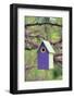 Bird House Nest Box in Eastern Redbud Tree in Spring, Marion, Il-Richard and Susan Day-Framed Photographic Print