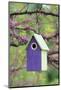 Bird House Nest Box in Eastern Redbud Tree in Spring, Marion, Il-Richard and Susan Day-Mounted Photographic Print