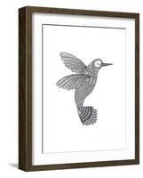 Bird Hummingbird-Neeti Goswami-Framed Art Print