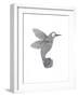 Bird Hummingbird-Neeti Goswami-Framed Art Print