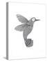 Bird Hummingbird-Neeti Goswami-Stretched Canvas