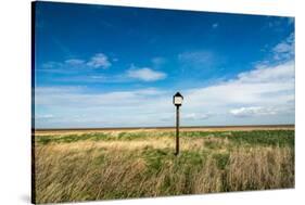 Bird Hut, Horseshoe Point, Lincolnshire, England, United Kingdom, Europe-Bill Ward-Stretched Canvas