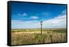 Bird Hut, Horseshoe Point, Lincolnshire, England, United Kingdom, Europe-Bill Ward-Framed Stretched Canvas