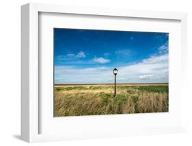 Bird Hut, Horseshoe Point, Lincolnshire, England, United Kingdom, Europe-Bill Ward-Framed Photographic Print