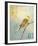 Bird I-Kareem Rizk-Framed Giclee Print