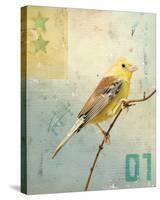 Bird I-Kareem Rizk-Stretched Canvas