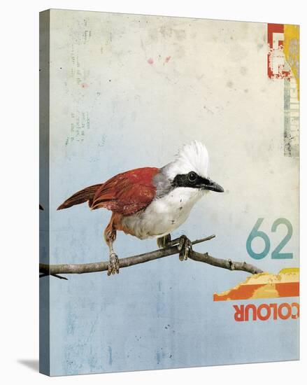 Bird III-Kareem Rizk-Stretched Canvas