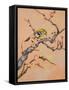 Bird in Cherry Tree-Judy Mastrangelo-Framed Stretched Canvas