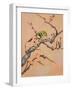Bird in Cherry Tree-Judy Mastrangelo-Framed Giclee Print