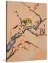 Bird in Cherry Tree-Judy Mastrangelo-Stretched Canvas