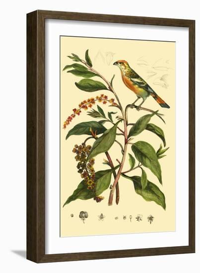 Bird in Nature I-E. Guerin-Framed Art Print