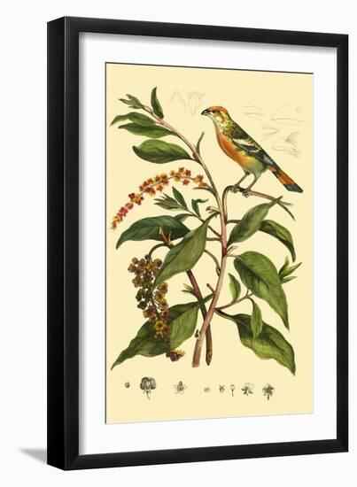 Bird in Nature I-E. Guerin-Framed Art Print