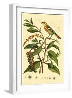 Bird in Nature I-E. Guerin-Framed Art Print