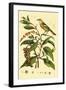 Bird in Nature I-E. Guerin-Framed Art Print