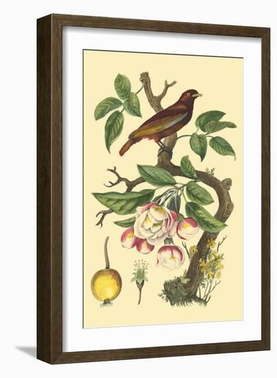 Bird in Nature IV-E. Guerin-Framed Art Print